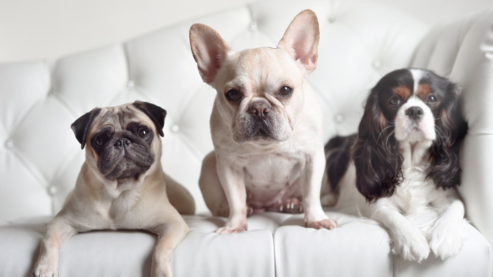 ac米兰球队官网-攀岩赛事吸引更多年轻人参与，攀岩比赛的规则是什么