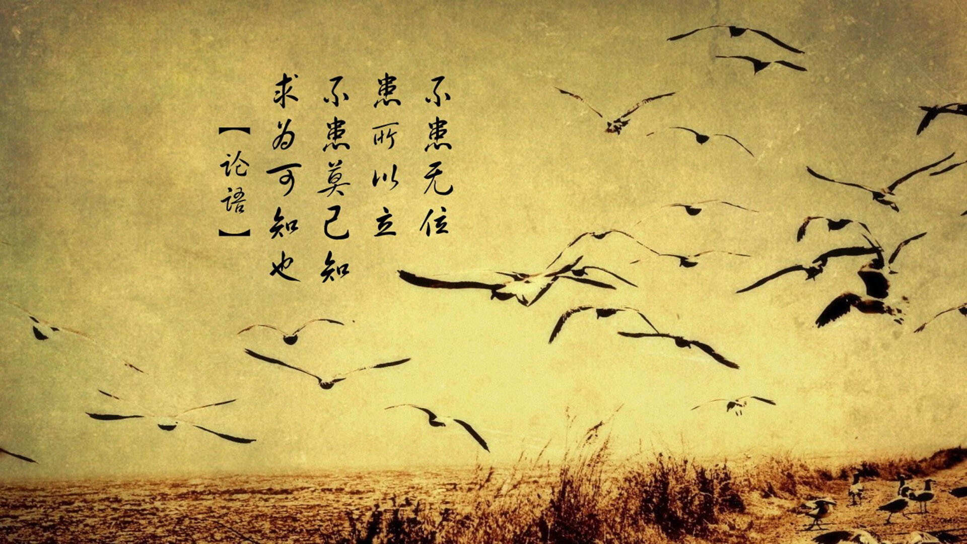 米兰体育正版平台-法甲冠军变数：新星崛起，潜力无限！，法甲冠军预测